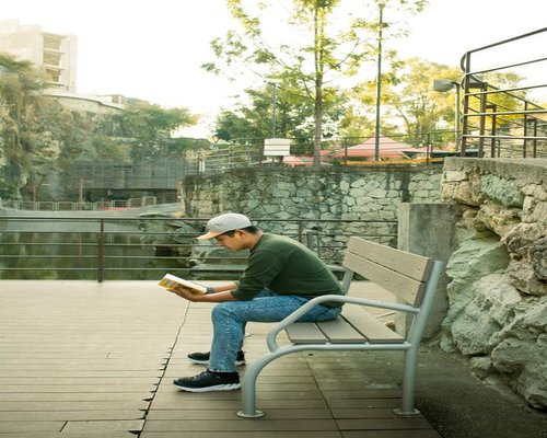 A relaxed person reading a book on a park bench surrounded by green trees in Mexico City