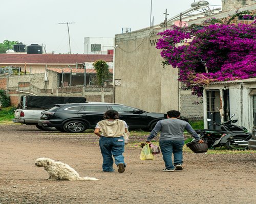 Pathways in Parque Mexico with people walking dogs casually