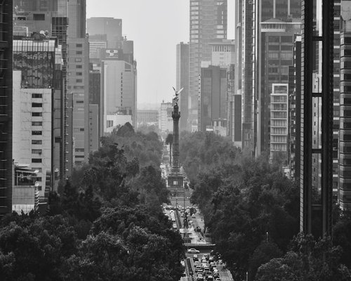 Wide, tree-lined avenues inside Bosque de Chapultepec